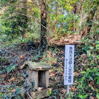 道は歩きやすく手入れされてますが🕸️いっぱい➿夏は雑草や虫がすごそうなので春頃がオススメです