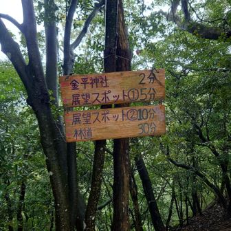 展望スポット　おすすめとありますが、通行止めでした
