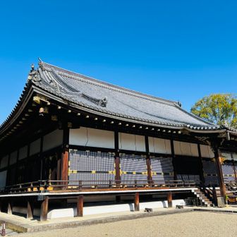 仁和寺の本堂📸