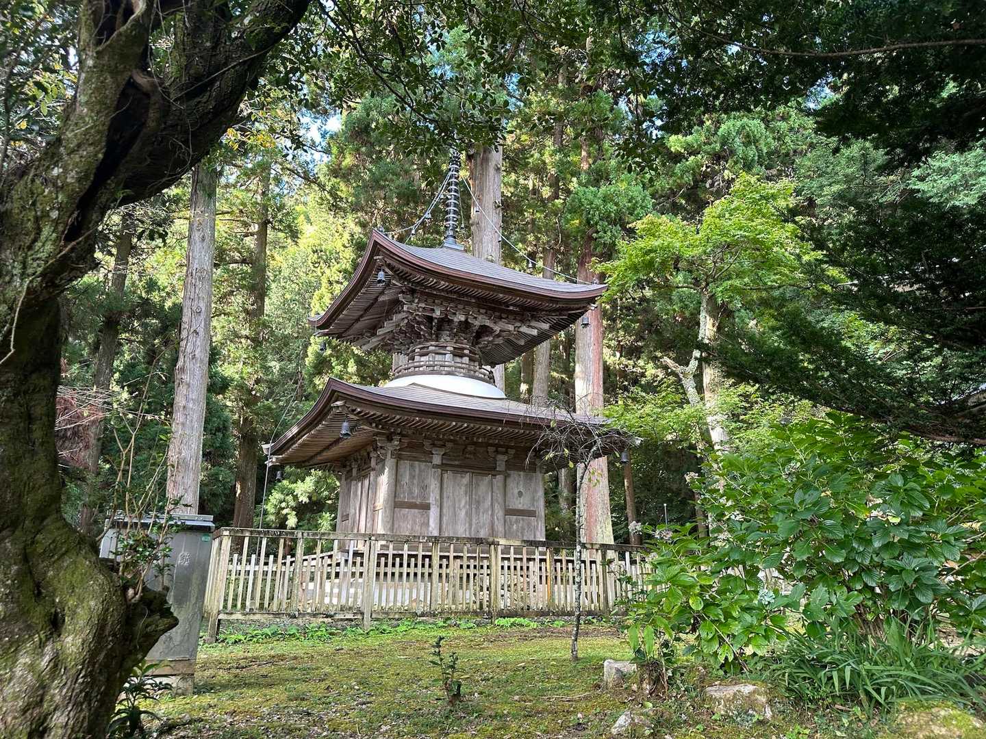 合掌🙏