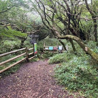 分岐。
まずは神山へ。