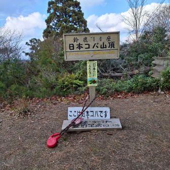 日本コバ
ここからぐるっと尾根歩きをして
下山へ