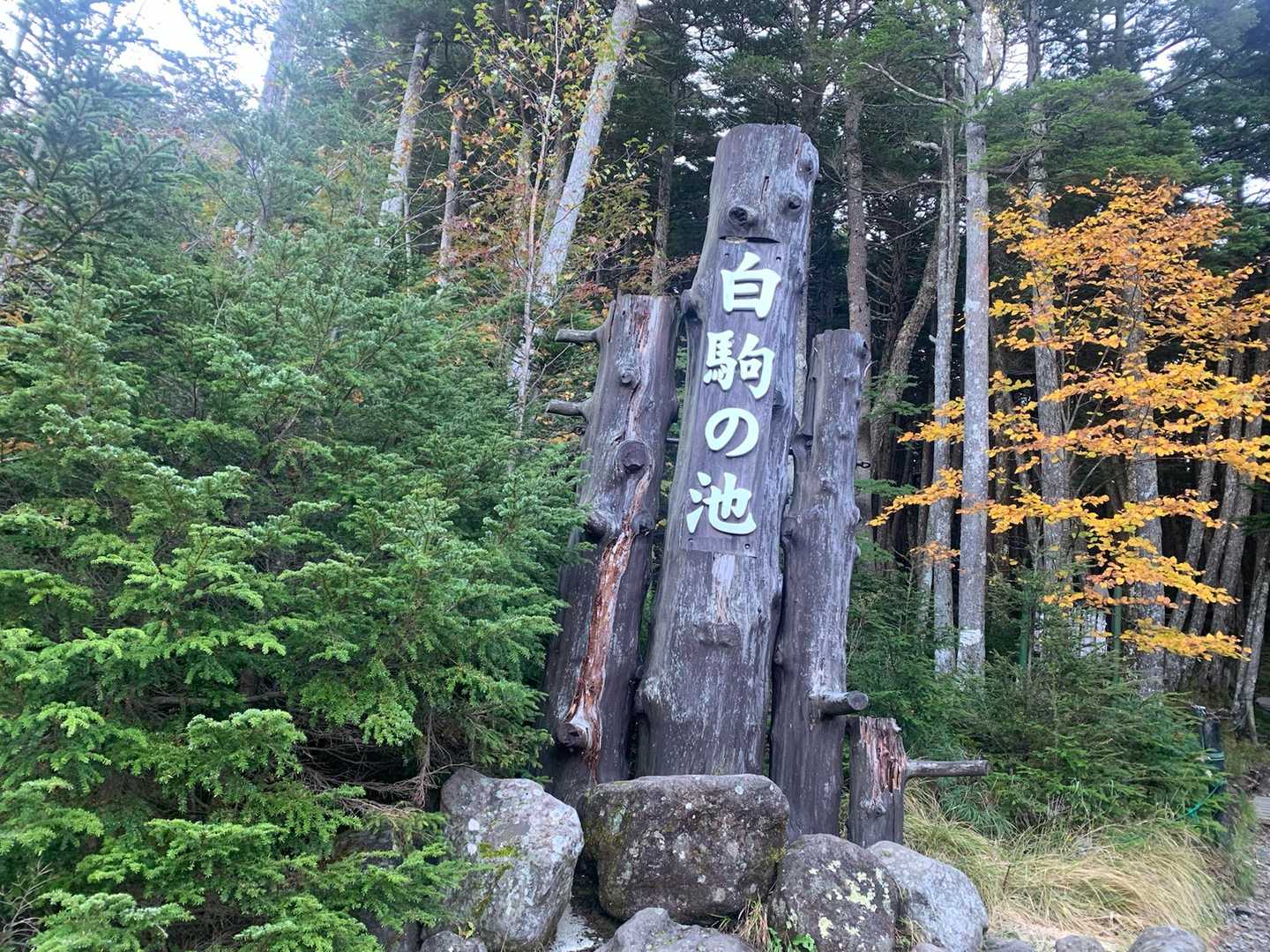 ニュウ・中山周回 | 幽玄な原生林と神秘の池から小さな岩峰を越え、天狗岳の絶景への写真