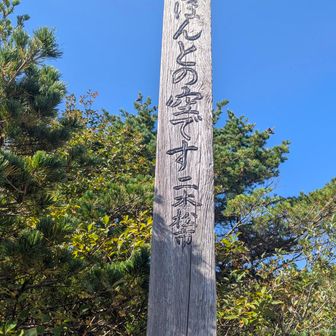 綺麗な青空でした