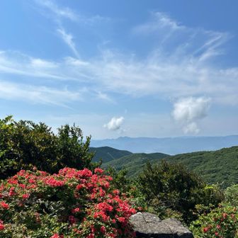 　遥か彼方は英彦山が‥