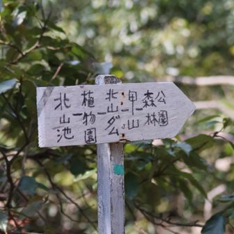 ここは久しぶりに来ましたが
標識が代わってますね
以前のは有馬までのルートも
書いてありましたが