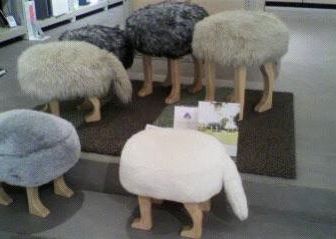 シュレディンガーの猫🪽