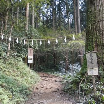 表参道の登山口に戻ってくる。
帰りは裏参道にしようと思っていたのにすっかり忘れていた。