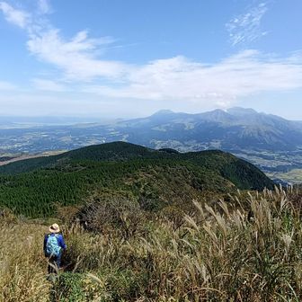 何度も写真を撮ってしまう。その度に足が止まる。