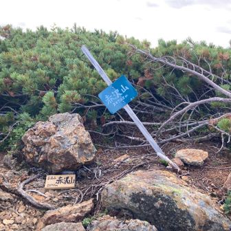 赤沢山山頂です
ここで機内モード解除したら、軌跡が飛んでしまいました