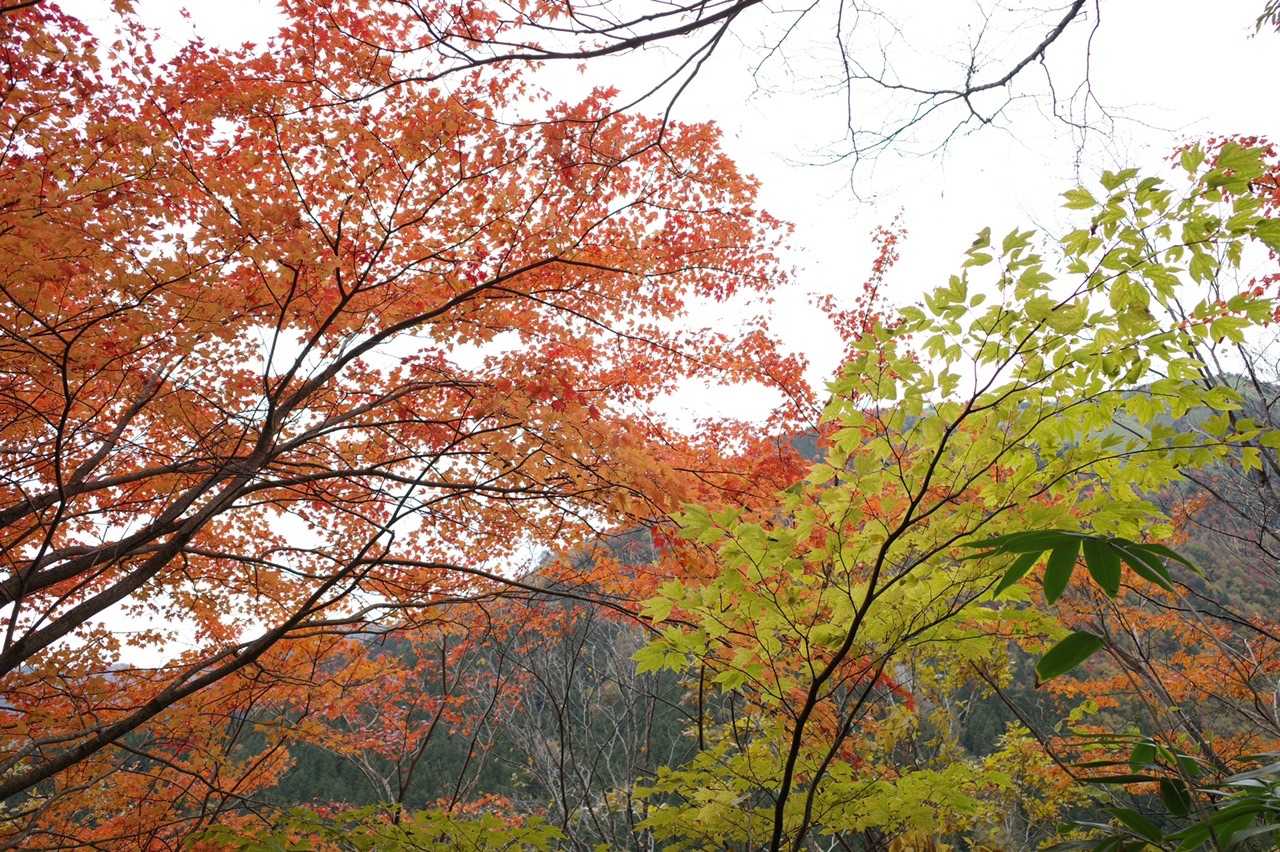 白草山登山口-白草山 周回コースの写真