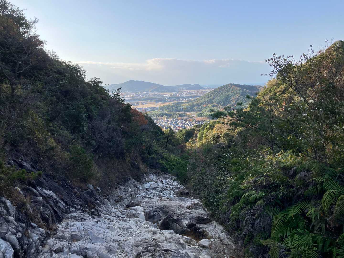 西目山 周回コースの写真