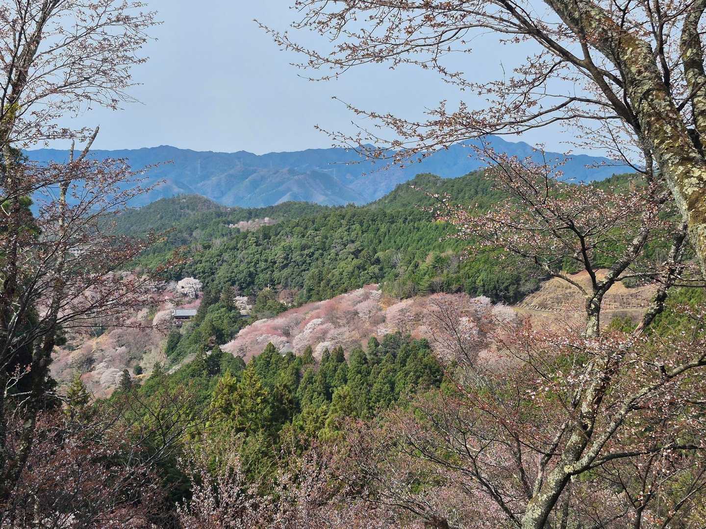吉野駅-金峯山寺-韋駄天山-吉水神社-吉野水分神社-高城山 往復コースの写真