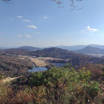近江富士花緑公園。
車もテントもいっぱいです。