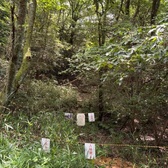 ヲンナゴロシの登山口
立ち入り禁止🚧ですよ
この辺りは昔山崩れが起きたとこかな？