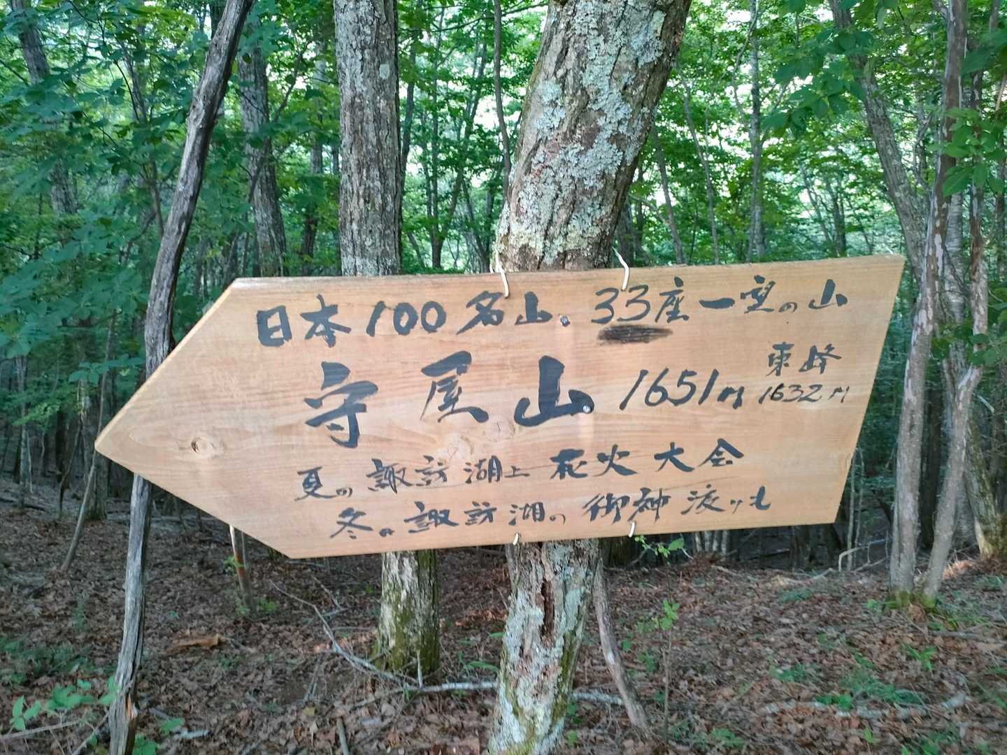 守屋山 往復コースの写真