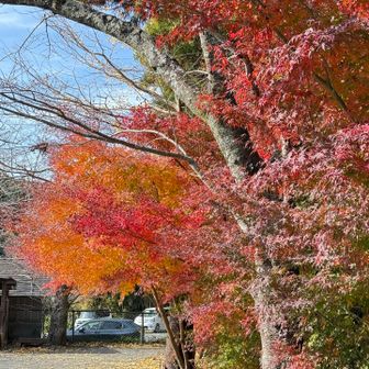 グラデーションすてきね