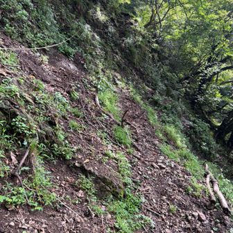 雨降りのあとだからか結構足元が
ゆるくてよく滑る。
あとここのロープが最初蛇に見えた笑