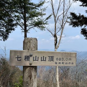 山頂に着いた(^｡^)