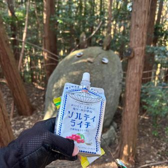 私のソルティライチ　ちょっと飲む？