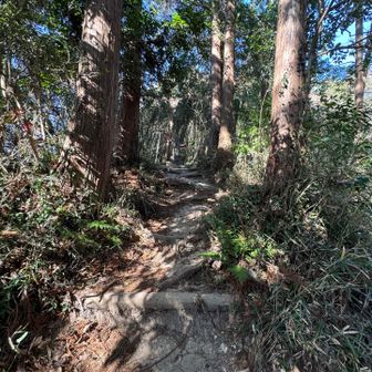 ここの奥に観音さまいます