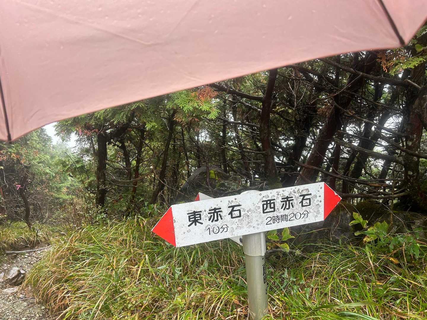 尾根歩きで風が通る様になってきたので傘を飛ばされない様に歩く🌬️
