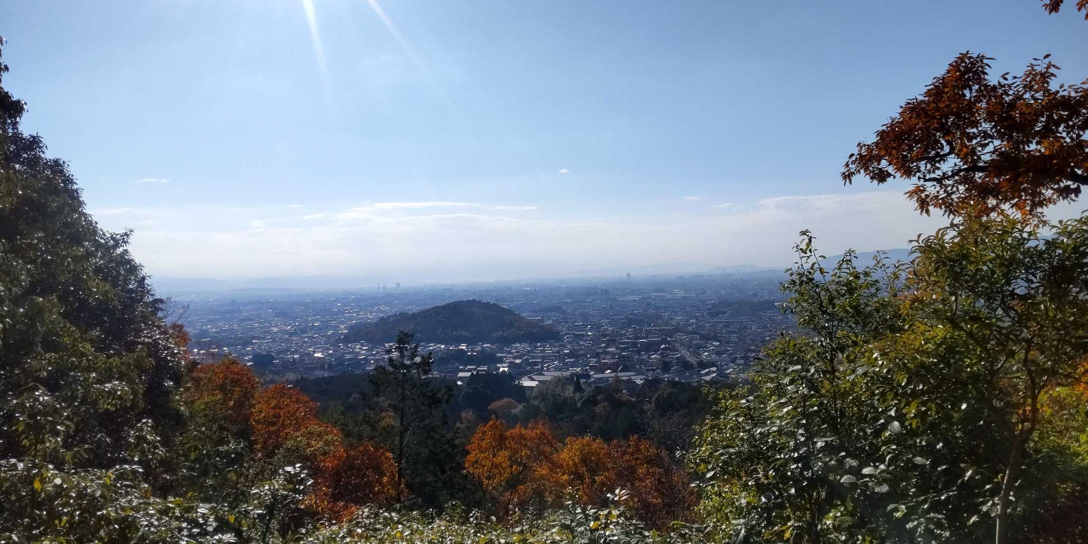 少し眺望が出てきました