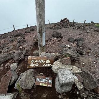 らばおさんと千穂の登山日記