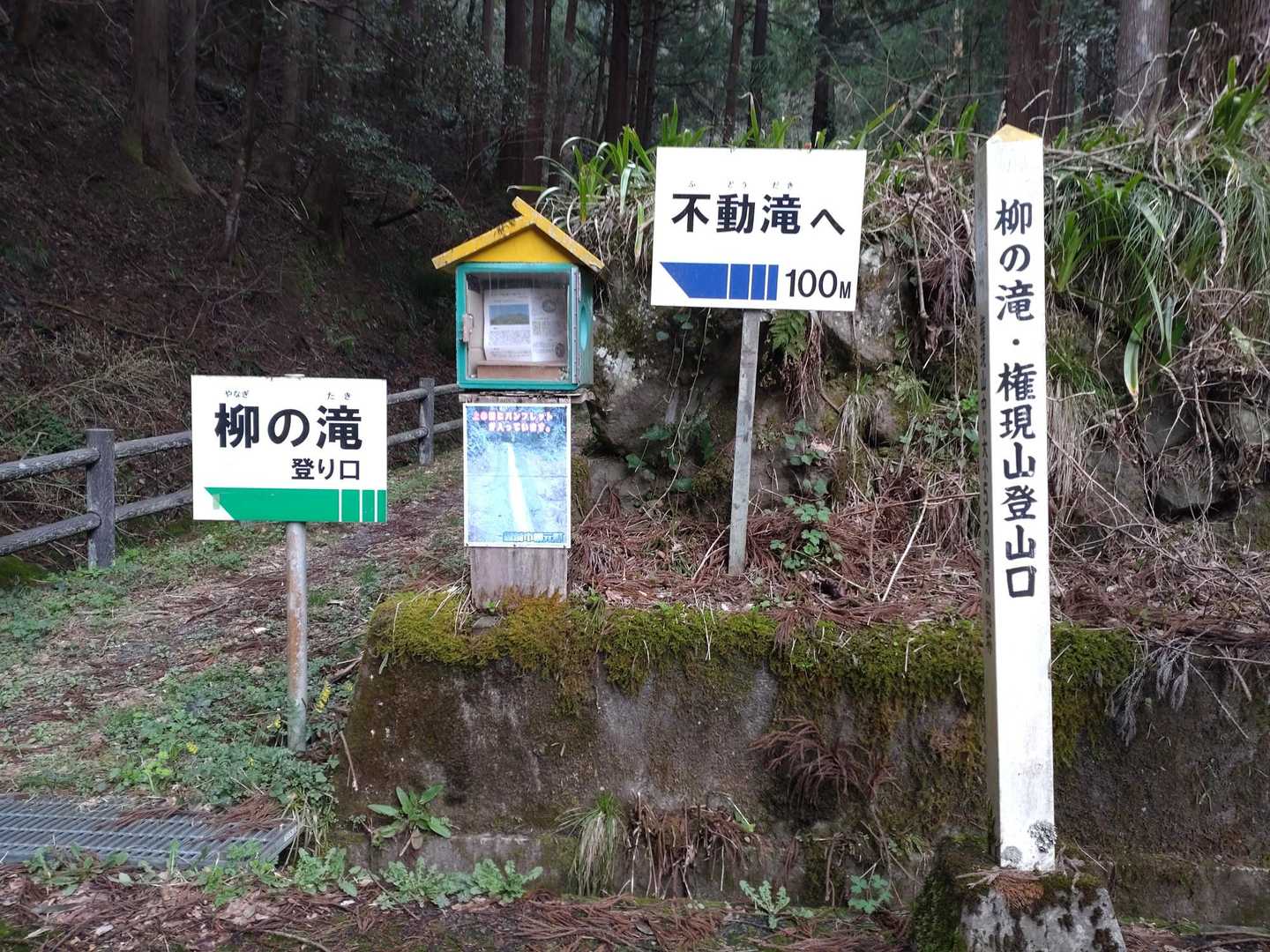 権現山 周回コースの写真
