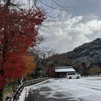 宇賀渓キャンプ場🅿️ 500円トイレ有
今日は昼から雪がやむ予報
遅めのスタートです