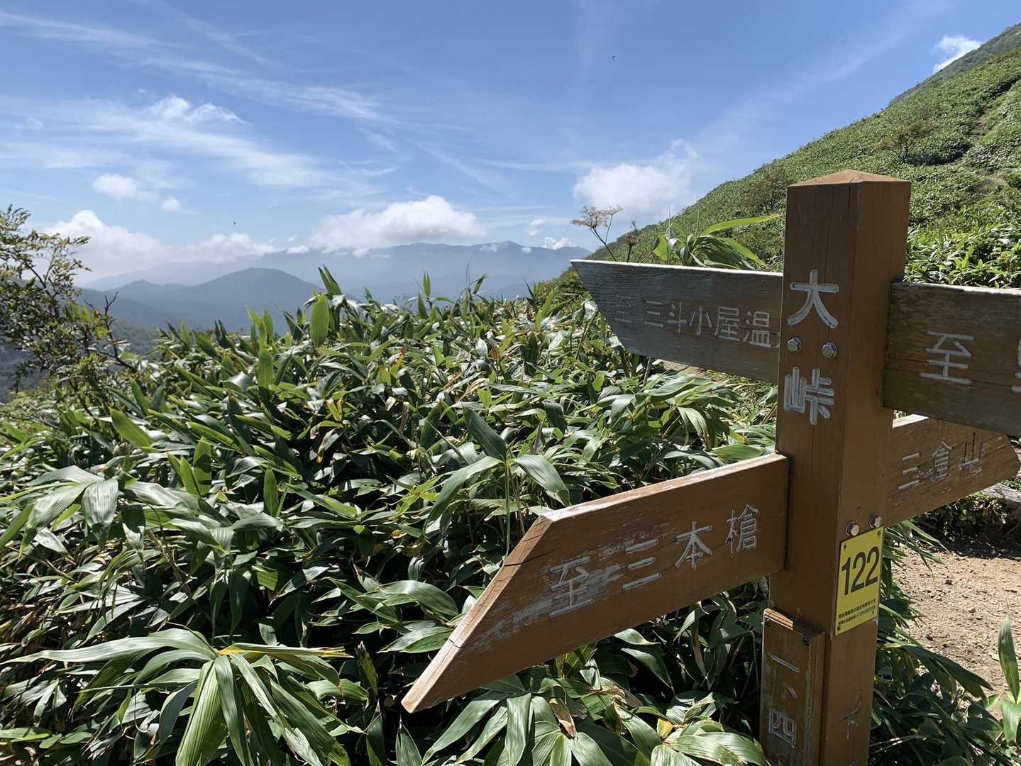 三斗小屋方面へ下ると熊笹のトンネル。
途中迷ってしまった。😓