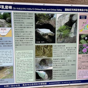 乳岩卿の歴代を学ぶ