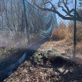 ココを潜って。