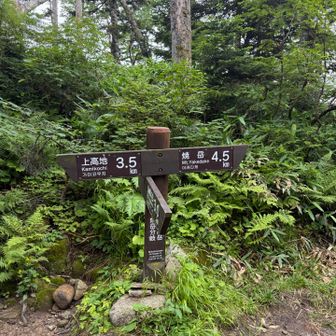 上高地へ下山