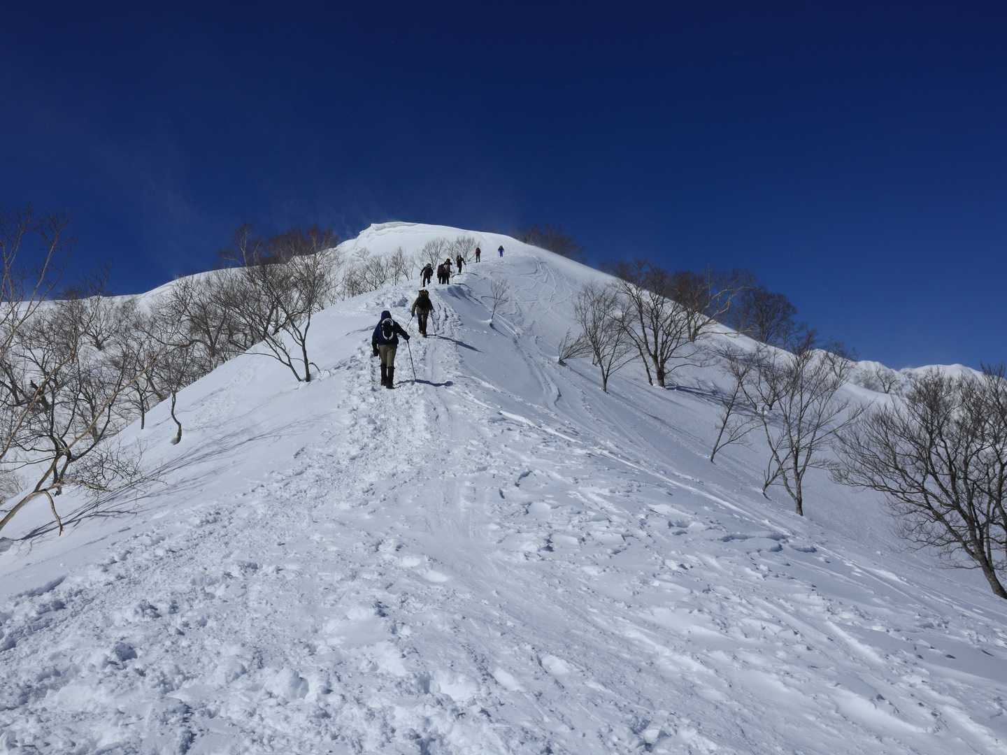 少し勾配が付いてきたかな。
ドキドキ。
