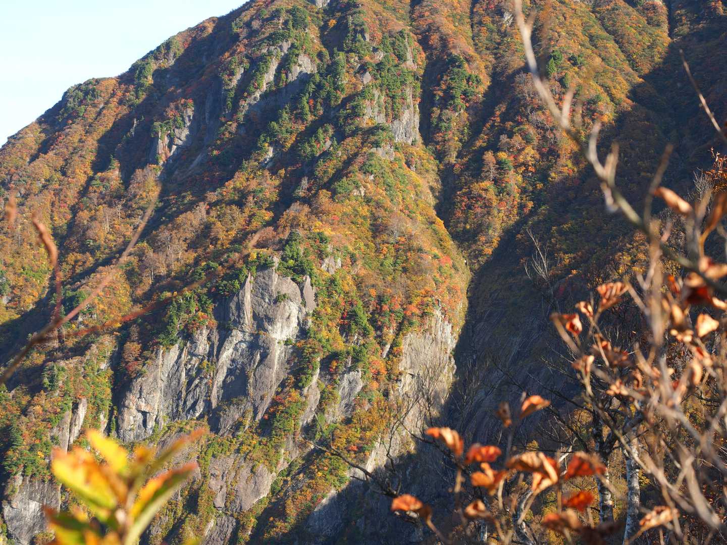鎖場が連続する屏風道方面の岩壁も紅葉が素晴らしい場所🍁
⚠屏風道は下山禁止です⚠