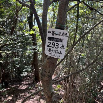無事三座目の小屋ヶ浴山 293m