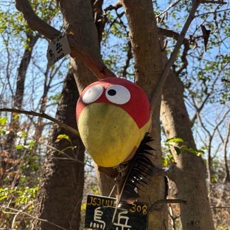 烏岳キョロ〜😂