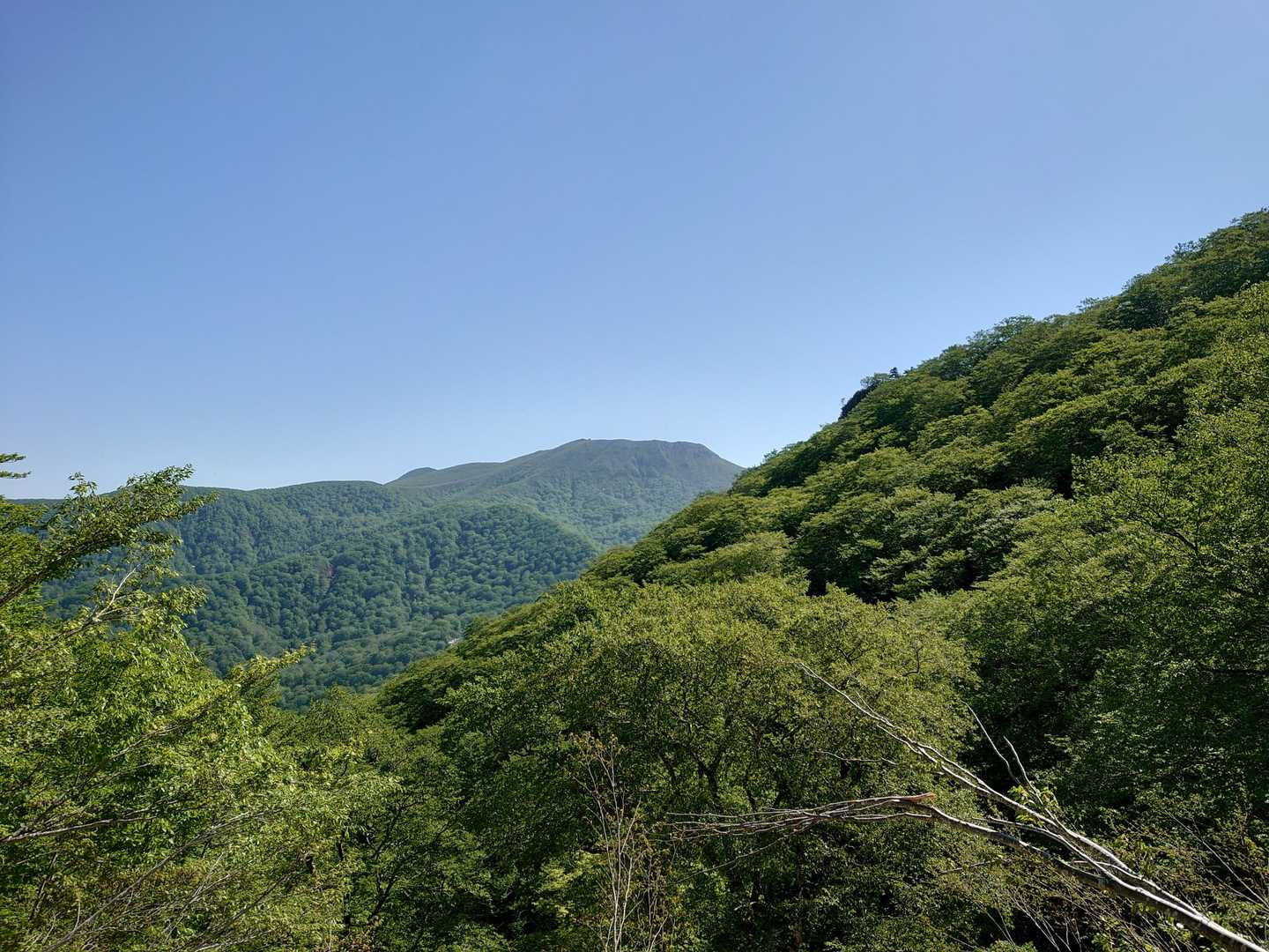 御所山👀
まだ遠いな～