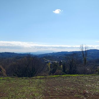 海も見られます