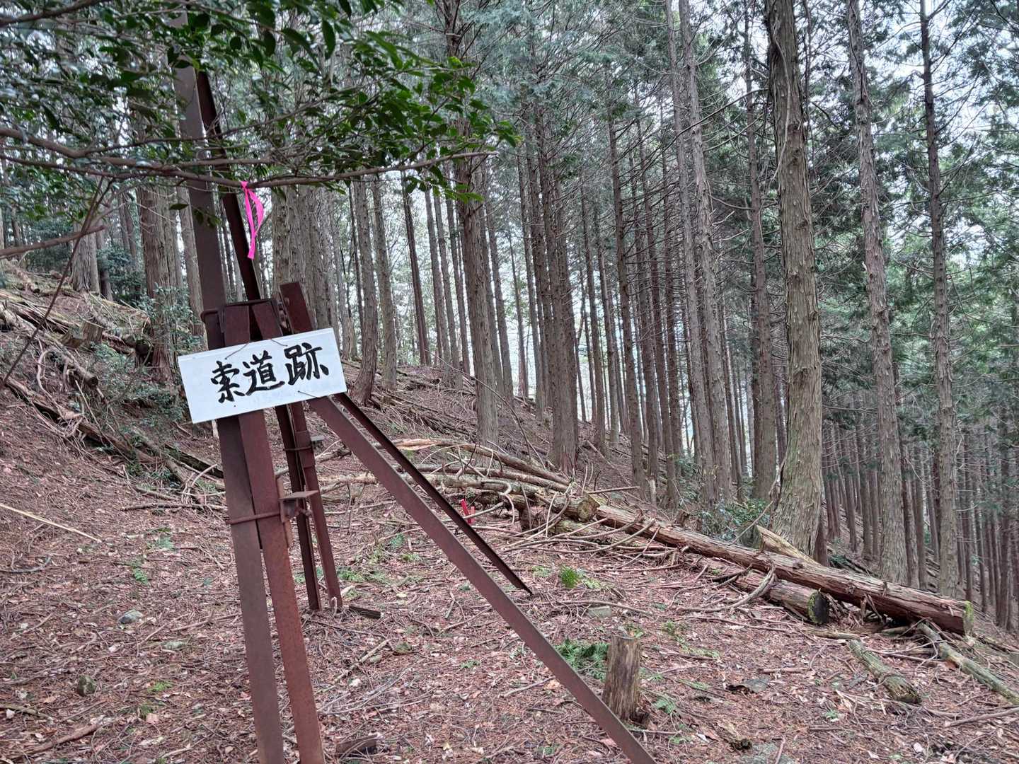 白樫城登り口石碑-白樫城址登山口-小島山-ムネ山-奥谷山 往復コースの写真