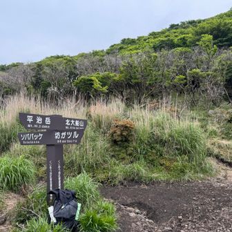 そして、平治岳のミヤマキリシマは、、、