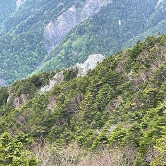 あれは光石？
時間と体力の関係で割愛。