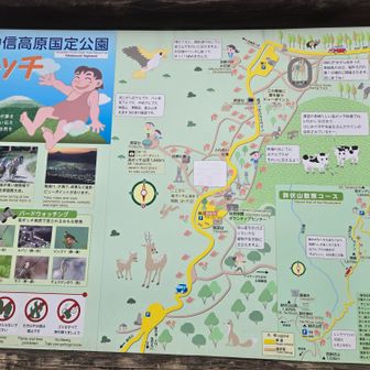 平日なのに人気の山ですね、10台ほどの車があって関東や姫路ナンバーも