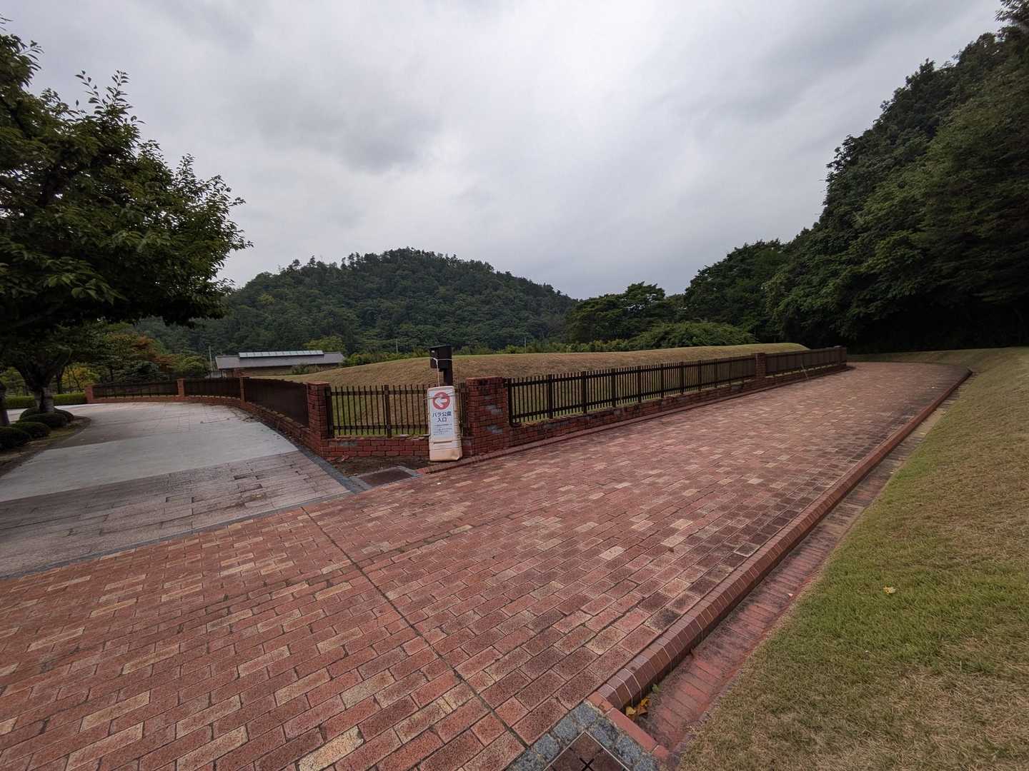 ザーザーと激しく雨が降り出した☔ので撤収よ！
