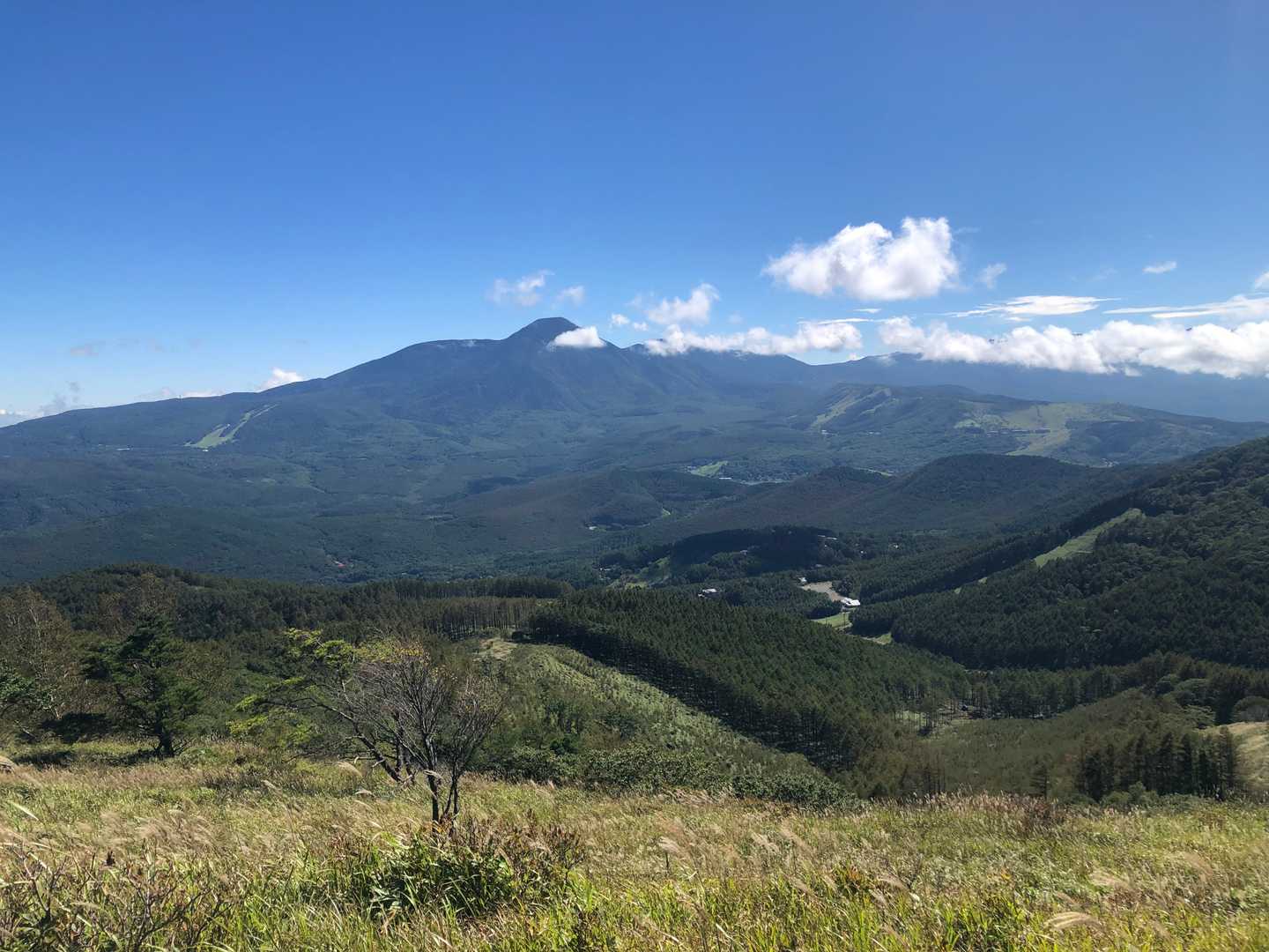 蓼科山