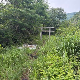 小葉谷登山口