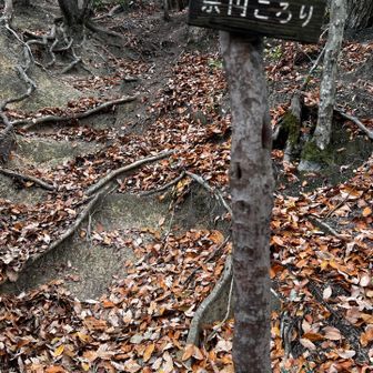 宋円ころり
昔この地にあった小松寺の管主宋円がこの坂で転んで谷底に落ちたが、仏の御利益で命は取り留めたという伝説がある。
六十名山では宋猿転びになっているが猿は円の誤植かな。

36　抜谷山　185.6m
No.5　は知らぬ間に通過していたようだ😅