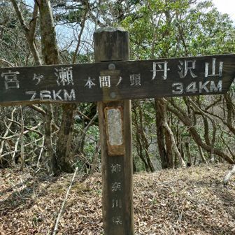 本間ノ頭(東峰)登頂。ここまで来れば、高畑山を除いて、下り一辺倒。16:01のバスには間に合いそう