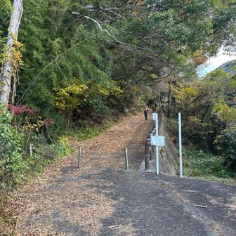いい感じの登山口
